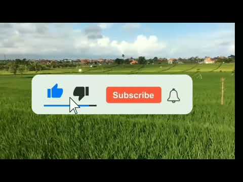 Heymbenk - diperut atau dimuka cover