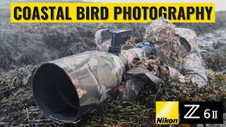 Photographing Coastal Birds in Northern Ireland (Full Nikon Z6II Test)