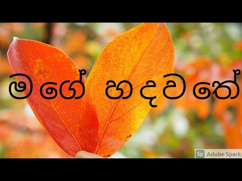 Sinhala Geethika Mage Hadawathe hagumak pura #3Trending#