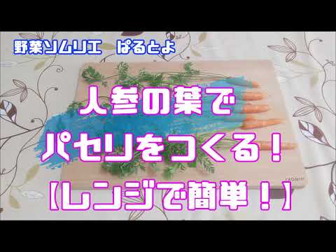 園芸 平葉パセリ