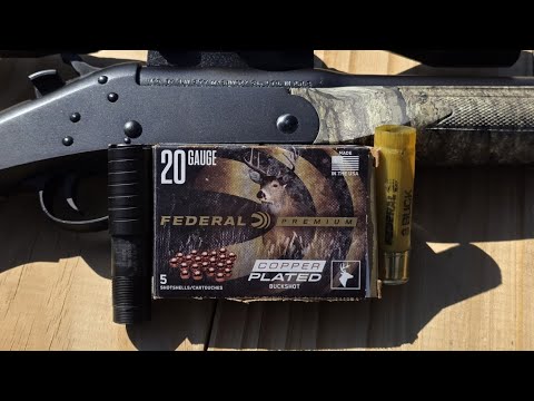 NEW SERIES!!!!! THE AMMO OUTLINED!!! FEDERAL VITAL SHOK 20 GAUGE 3 BUCK BUCKSHOT REVIEW!!!!
