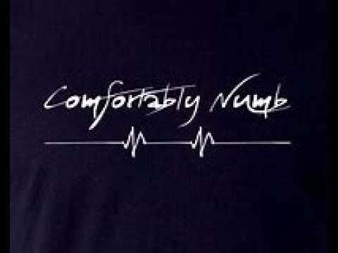 Comfortably Numb Chris Squire  Alan White billy sherwood