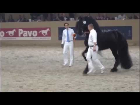 Elias 494 - Victory lap