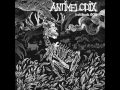 Antimelodix - City (Gorod) 