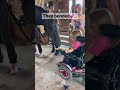 HORSE BONDS WITH GIRL IN WHEELCHAIR🥹
