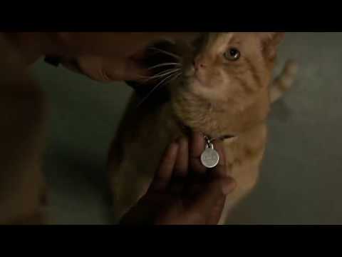 Nick Fury distracted by Goose the Cat