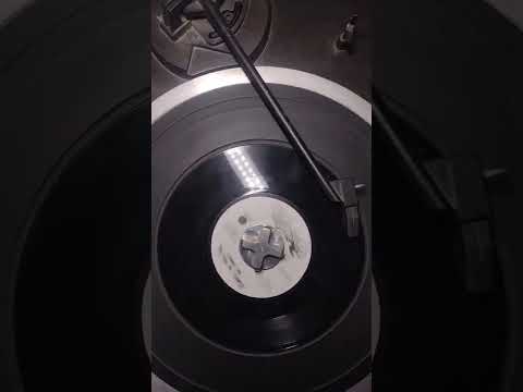 river to the sea the Sade -- darker ashade of roots