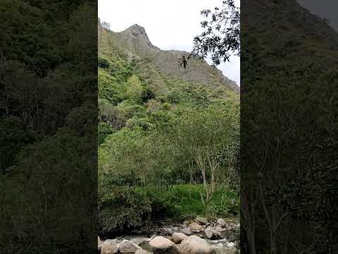 Vía Pacho - La Palma (Río Negro y montañas)