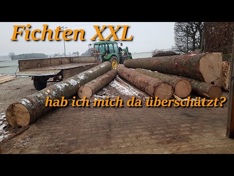 Fichten XXL - hab ich mich da überschätzt?