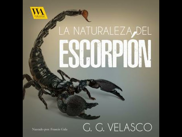 Vídeo relacionado con La naturaleza del escorpión