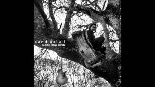 David Pollaci -  Spettro