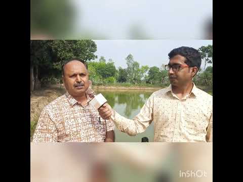 পাবদা মাছের নার্সারী ব্যবস্থাপনা (রেণু হতে পোনাচাষ), ষ্টেশন রোড, আদমদীঘি, বগুড়া।