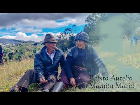 Quichua Mashis //🔥KAWSAYPI KUYASHUN🔥 sanjuanito