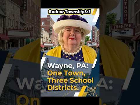 One Town Wayne, Three School Districts video thumbnail with Michelle Leonard