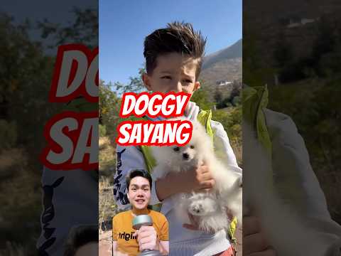 Doggy Mengikutiku @BETERBÖCÜKUNİVERSE
