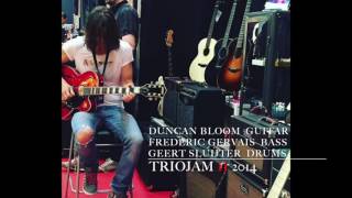 Duncan Bloom - Frederic Gervais - Geert Sluijter (TrioJam II 2014)