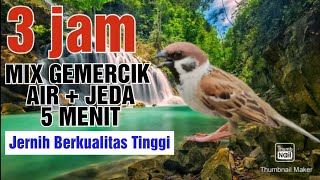 Download lagu Suara Gereja Tarung Mix Gemercik Air Jeda 5 Menit Masteran Jernih Mudah Ditiru mp3