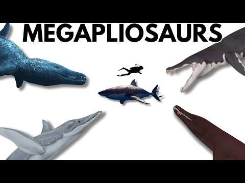 The Megapliosaurs: Carnivorous Battleships of the Mesozoic