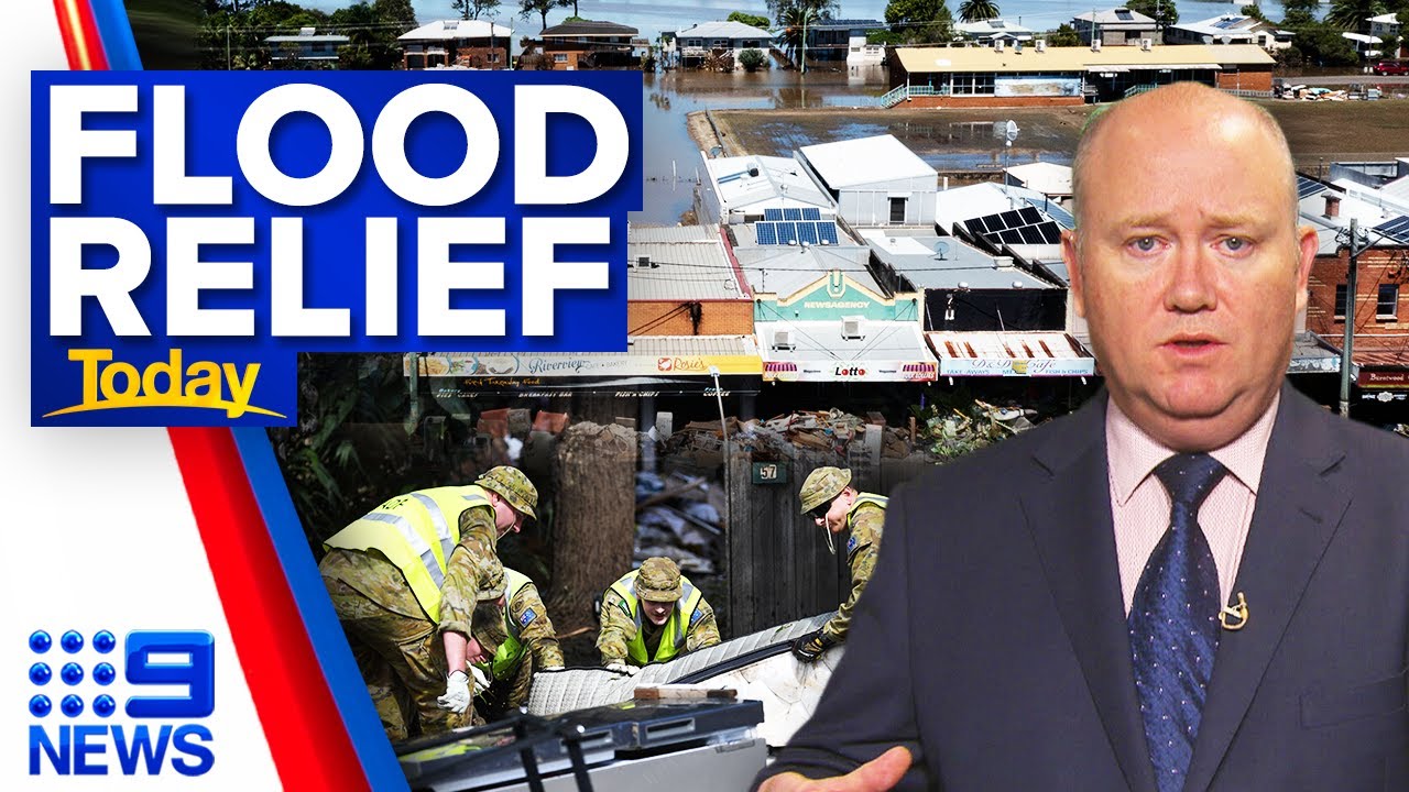 Bureaucracy not hampering flood relief efforts, Resilience NSW boss says | 9 News Australia