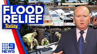Bureaucracy not hampering flood relief efforts, Resilience NSW boss says | 9 News Australia
