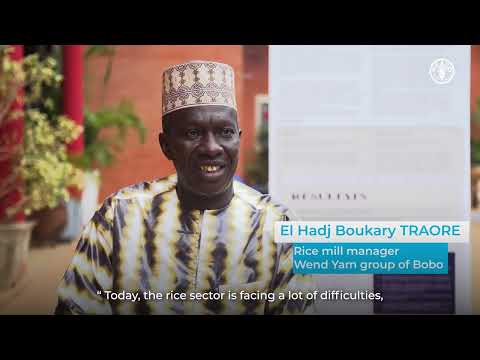 The FAO AgrInvest – Food Systems project: Enabling sustainable investments in Burkina Faso