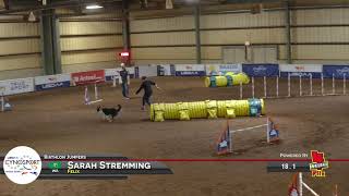 Felix Biathlon Jumpers Cynosport 2021