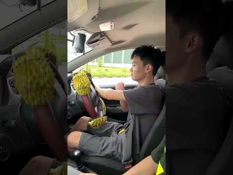 Papa Pasang Duri di Stir Mobil Anaknya Biar Nyetirnya Pelan....