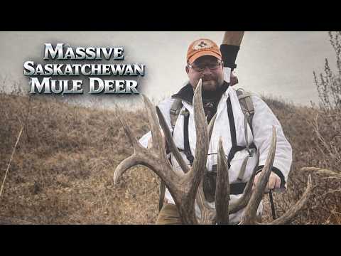 Hunting Huge Saskatchewan Mule Deer