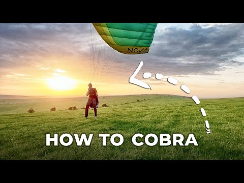 Tame the COBRA launch (in 3 minutes)