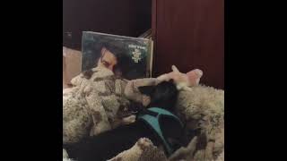 Brian Bell - L.A. Girlz (demo clip)