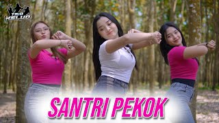 Download lagu DJ SANTRI PEKOK - Gendhuk Dhenok Santri Graduates Pondhok mp3