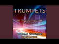 Trumpets (In The Style Of Jason Derulo) Instrumental Version.