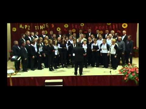 35 let Moškega pevskega zbora Tinje