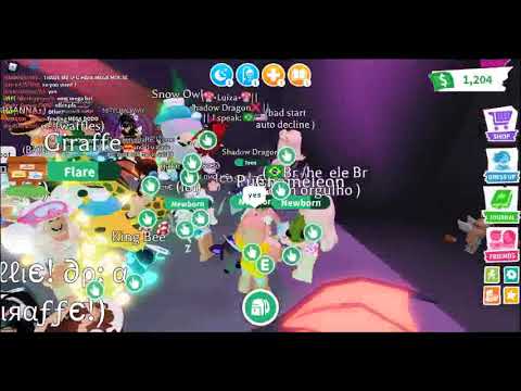 i give a fan pet :)! ❤🤍