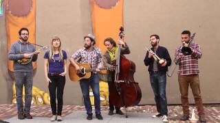 Dustbowl Revival - "Standing Next To Me" - In Holland