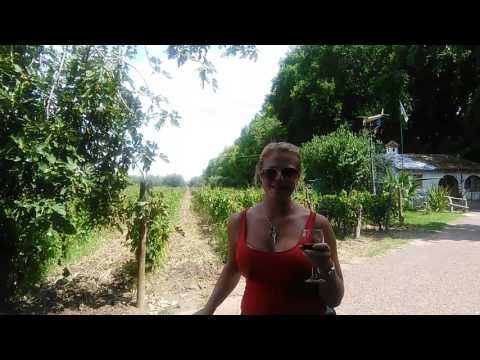 download lagu mp3 mp4 Coco Bikes Mendoza, download mp3 Coco Bikes Mendoza free downloadn, video klip Coco Bikes Mendoza