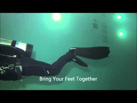 Ocean Quest Dive Centre - Back Finning With Caption
