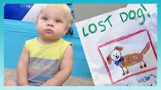LOST DOG! | Look Who's Vlogging: Daily Bumps