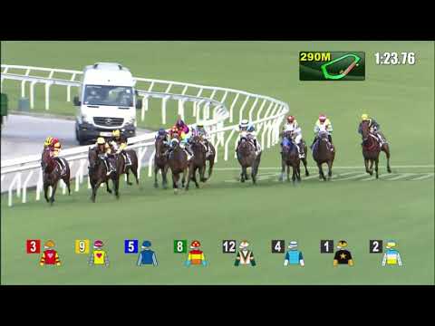 7/7/2021 (807) Sure Win Win - Jerry Chau