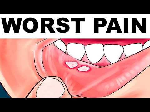 FUNNY MEMES