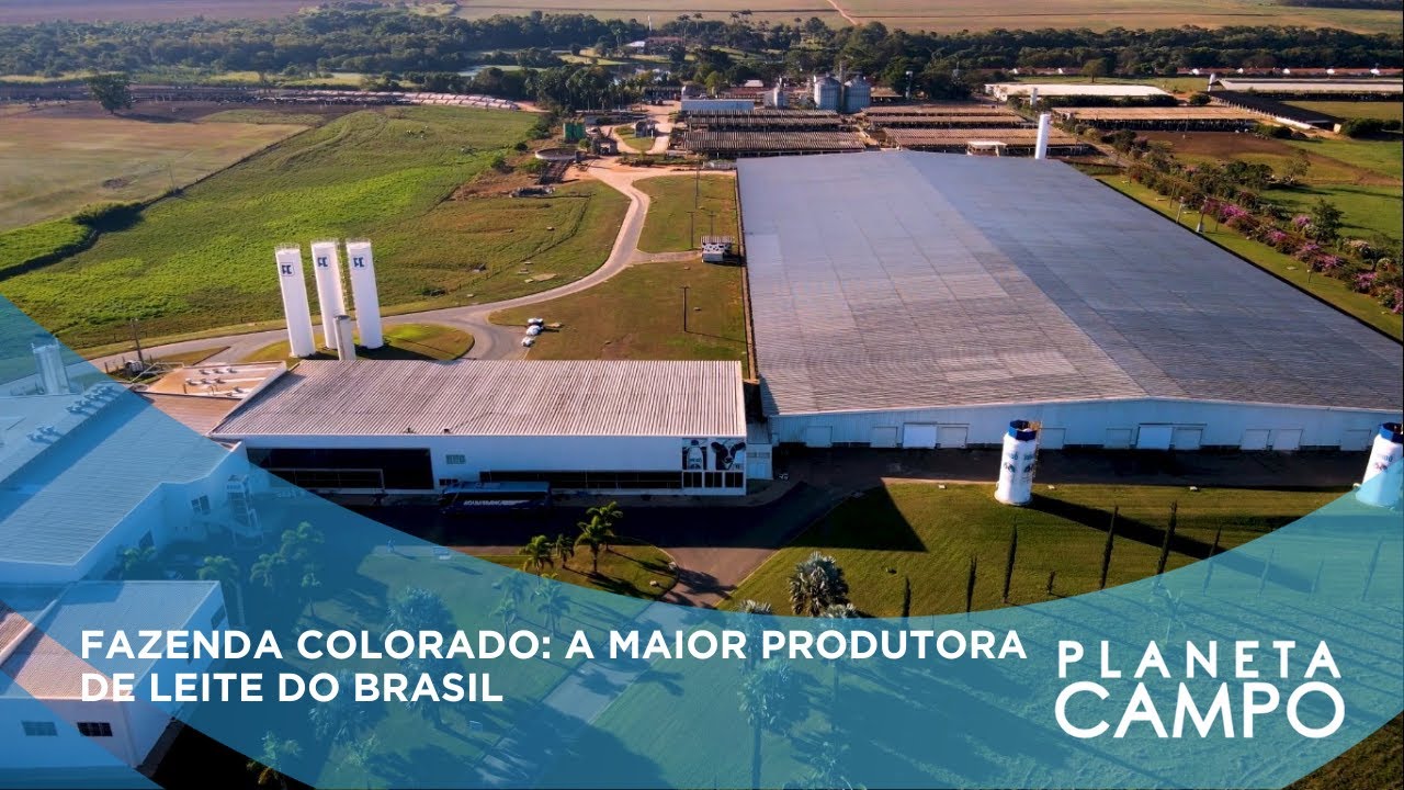 Fazenda Colorado: No Dia do Pecuarista conhecemos a maior produtora de leite do Brasil