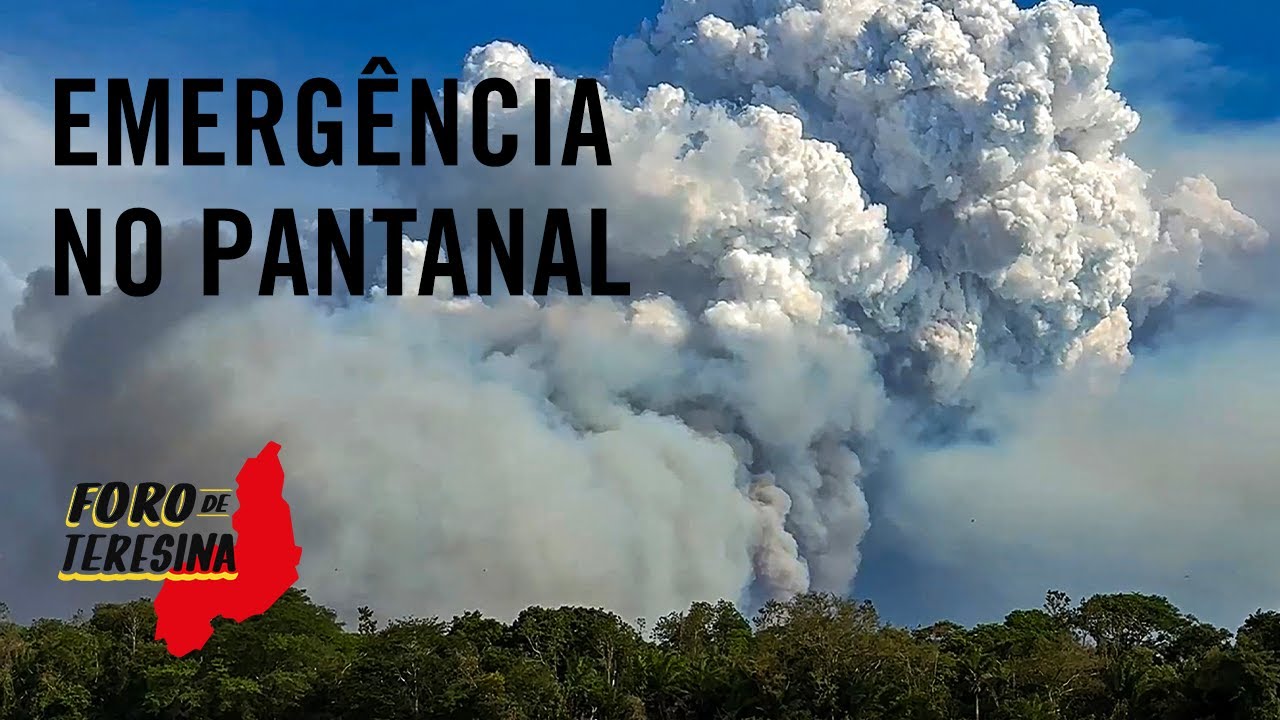 As drogas, as fortunas e as queimadas | Foro de Teresina