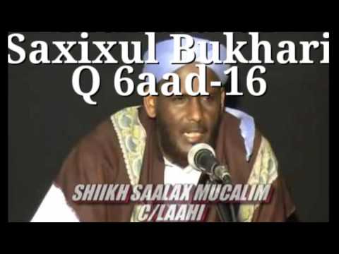 Muqtasir Saxiixul Buqaari Casharka 6aad Sh Saalax maclim Abdullahi HD 1