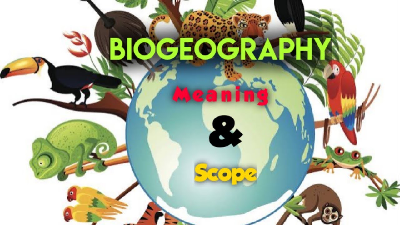 Video overview of biogeography scope