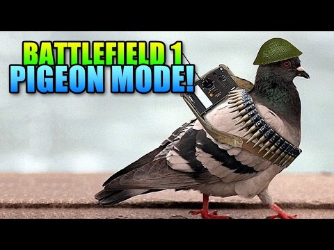 BF1 War Pigeon Gameplay & Details! | Battlefield 1 Pigeon Mode