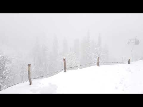 Solang valley ## 13-12-18 ##