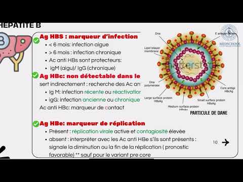 Extrait objectif 35 – Hépatites virales