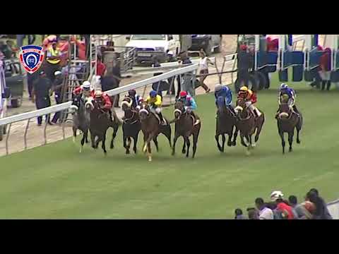 RM3 R4 - Crazy Vision | P.K.Horil