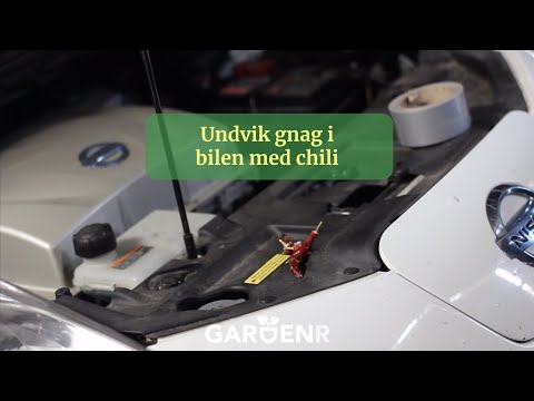 Undvik gnag i bilen med chili - Trädgårdshacks med GardenR