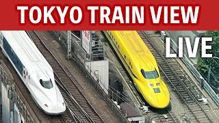 東京駅トレインビュー・新幹線ライブカメラ（有楽町カーブ） live webcam